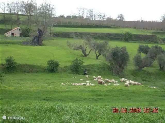 Monto Poro: Landschaft mit Schäfer