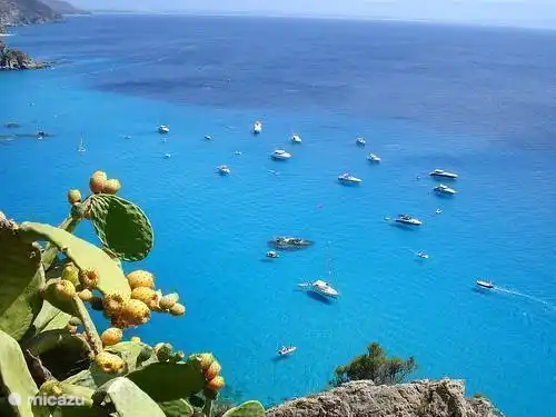 Capo Vaticano