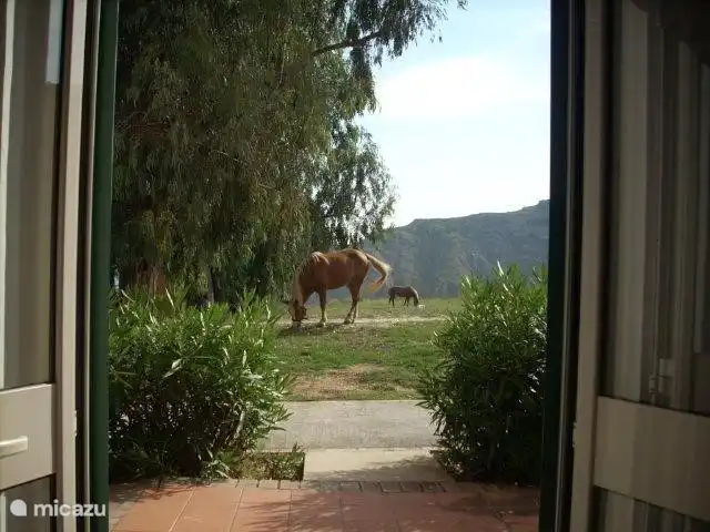 Aussicht aus dem Wohnzimmer auf den Garten