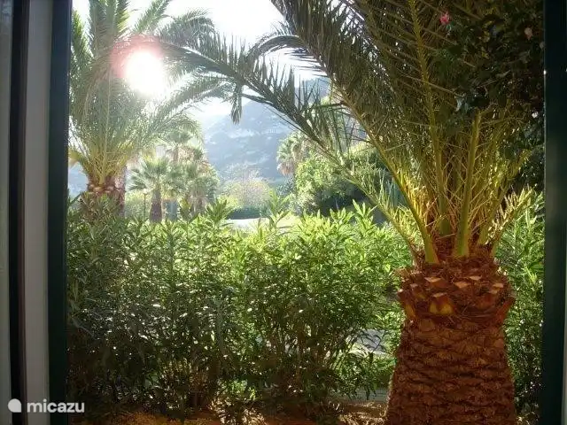 Aussicht aus dem Schlafzimmer auf den Garten