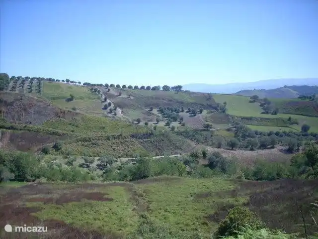 Aussicht auf die Berge mit Olivenbäumen