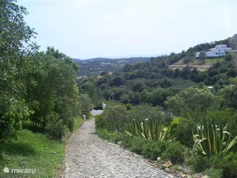 Calzada vista desde una parte alta