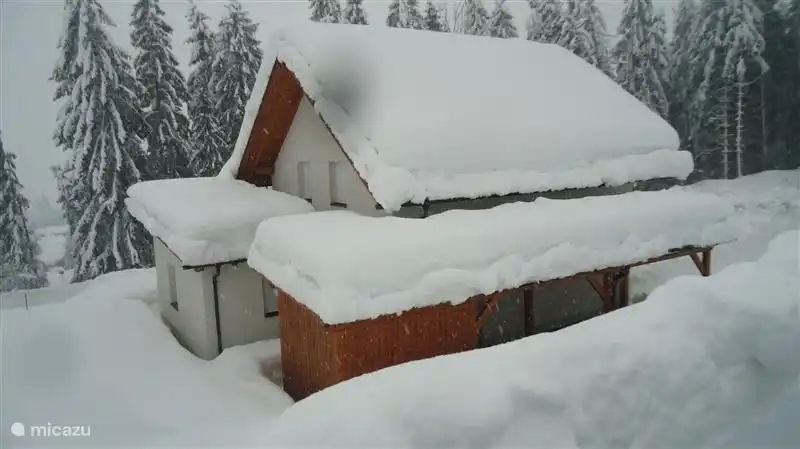 Viel Schnee 2. Februar 2014!