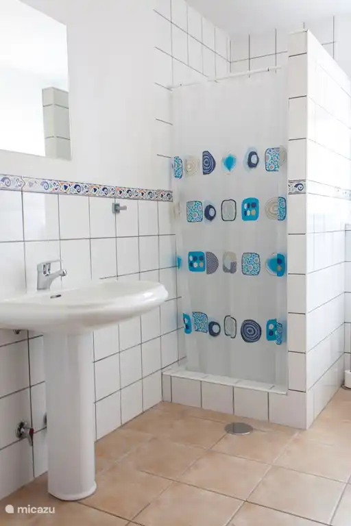 badkamer met douche, toilet en wasbak