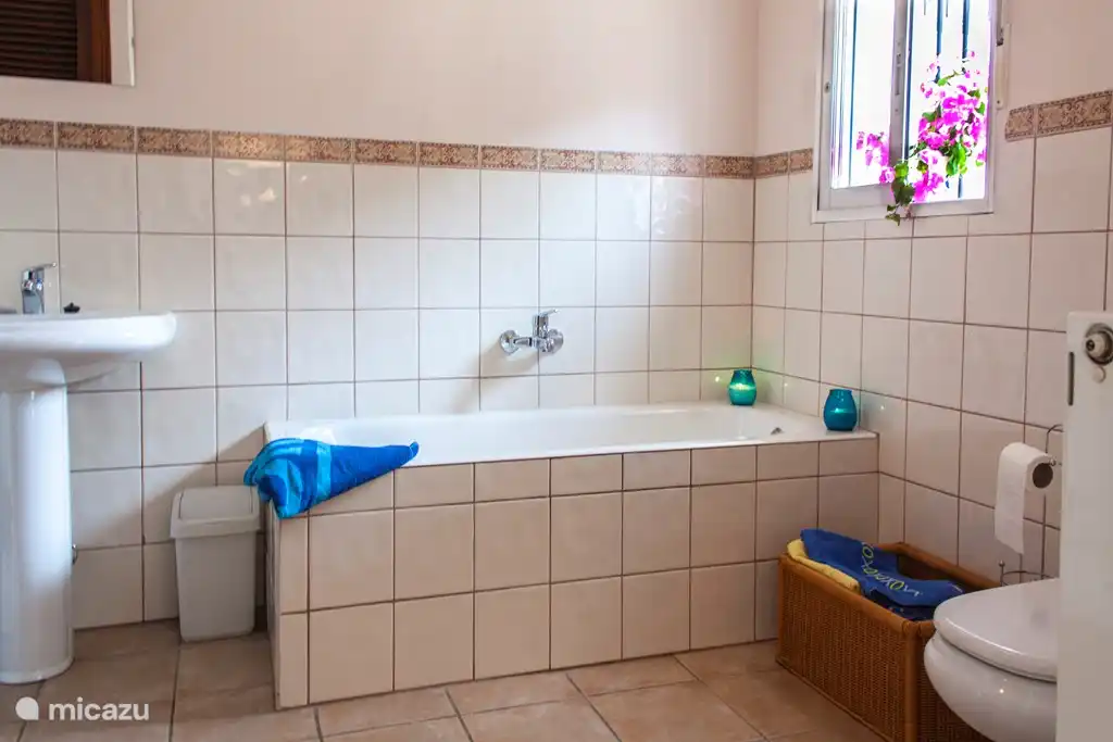 badkamer en suite met ligbad, douche, toilet en wasbak