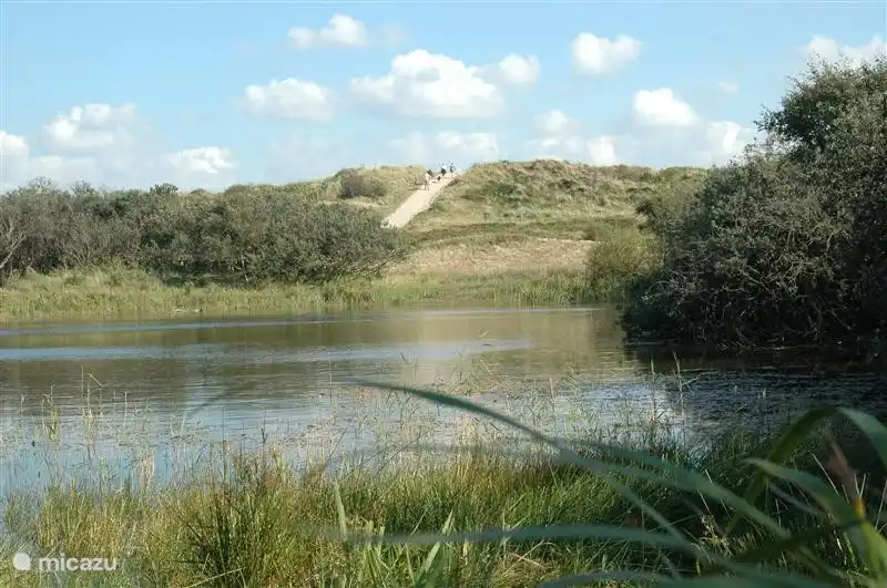 Through the dunes in St. Maartenszee hiking in every season a relaxing moment.