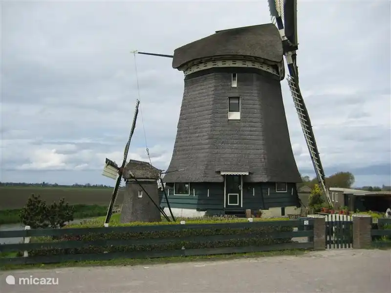 In the vicinity are many mills that comes against you determine your explorations.