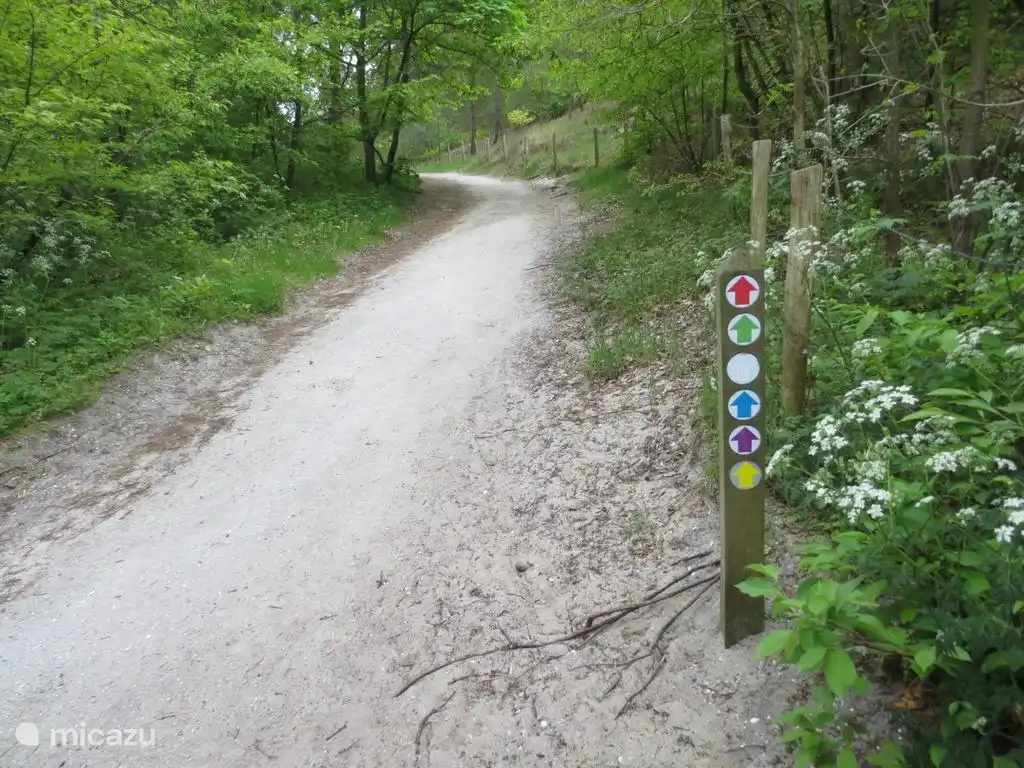 Many walking routes in Schoorl can be selected on your phone
