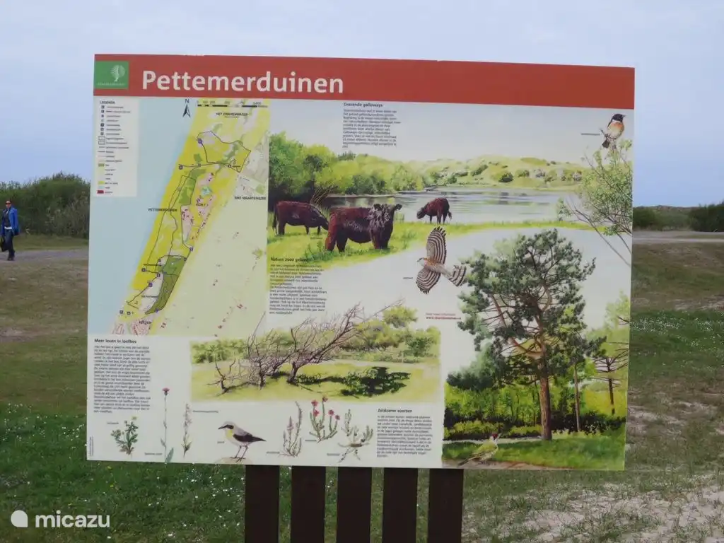 Flora and fauna in the dunes