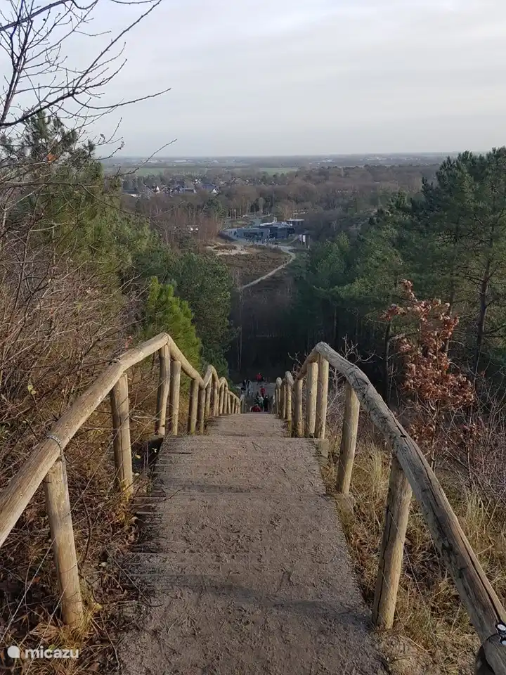 Highest point in Schoorl on clear days a fantastic view