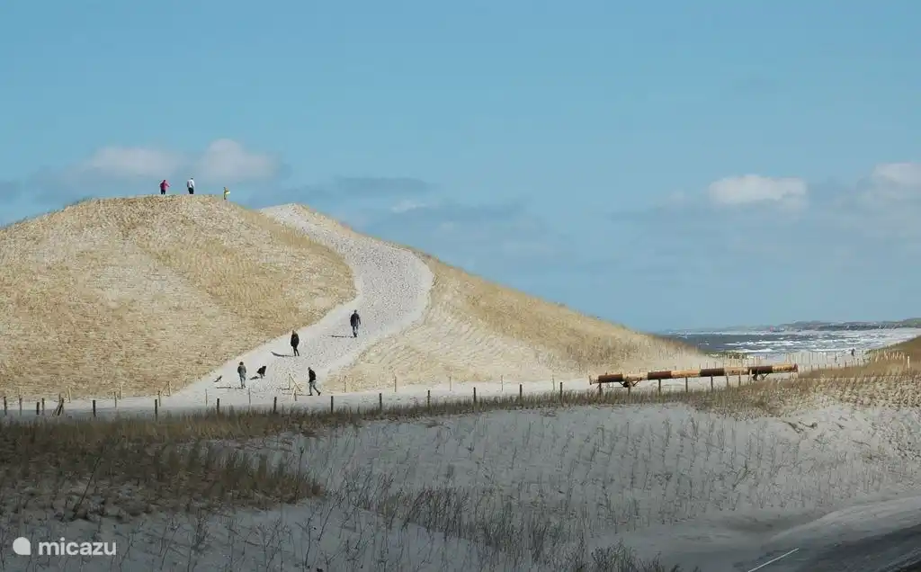New dune in Petten