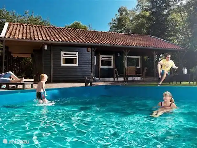 Location de Vacances Pays-Bas, Gueldre, Vragender, maison de vacances - Het Kamper Profitez de la piscine par beau temps