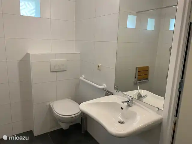 Maison familiale Veluwe (également en fauteuil roulant) | Pays-Bas, Gueldre, Garderen - bungalow Lavabo et toilettes pour handicapés