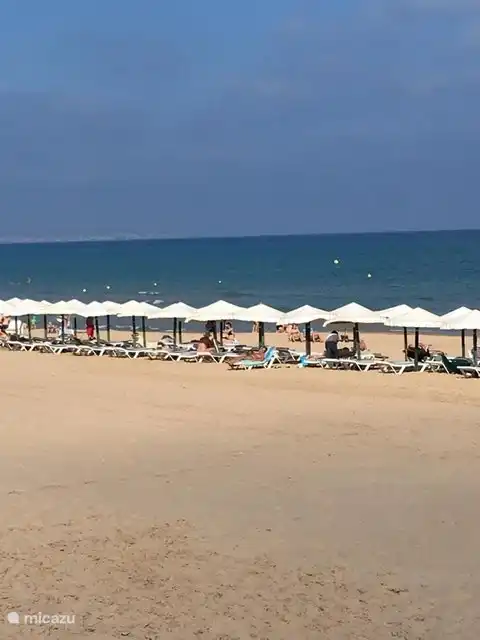 La playa de Guardamar del Segura a unos 700 metros a pie