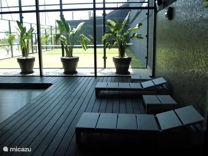 Piscina interior con vistas a la pista de pádel