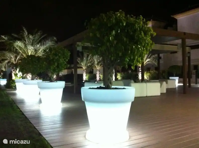 Patio con iluminación