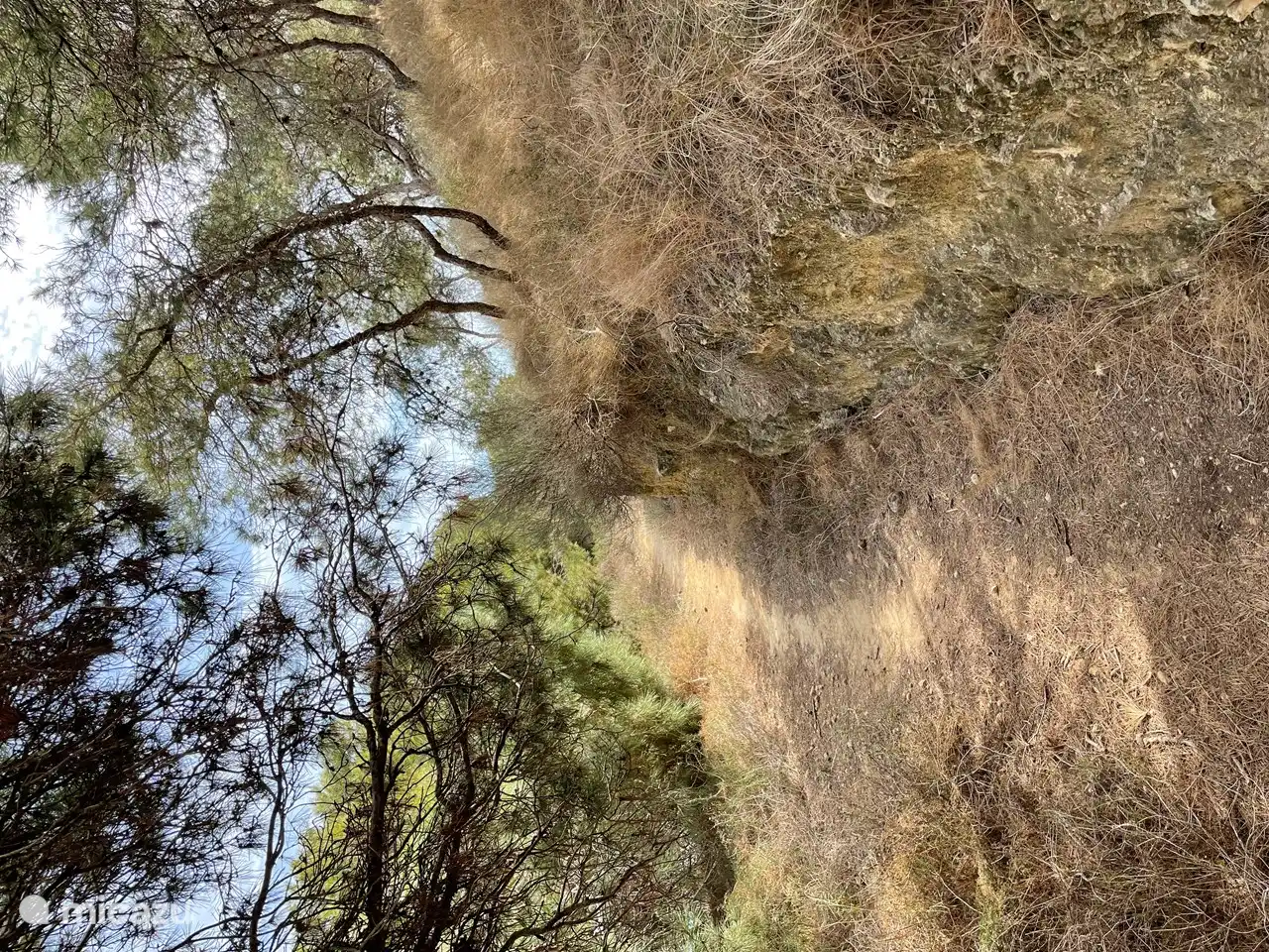 Senderos con pavimento natural y vistas al mar.