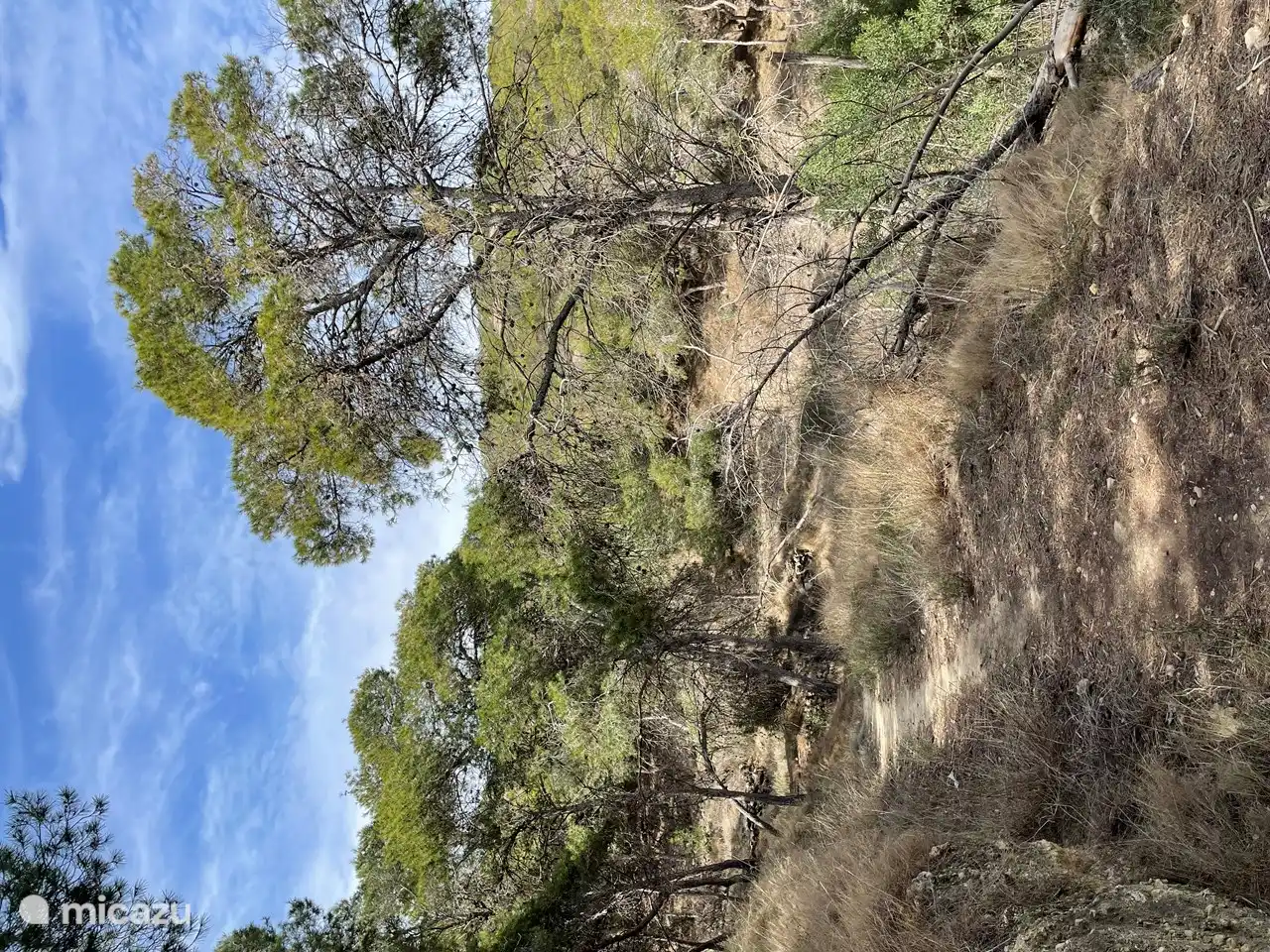 Disfruta de la belleza natural al lado.