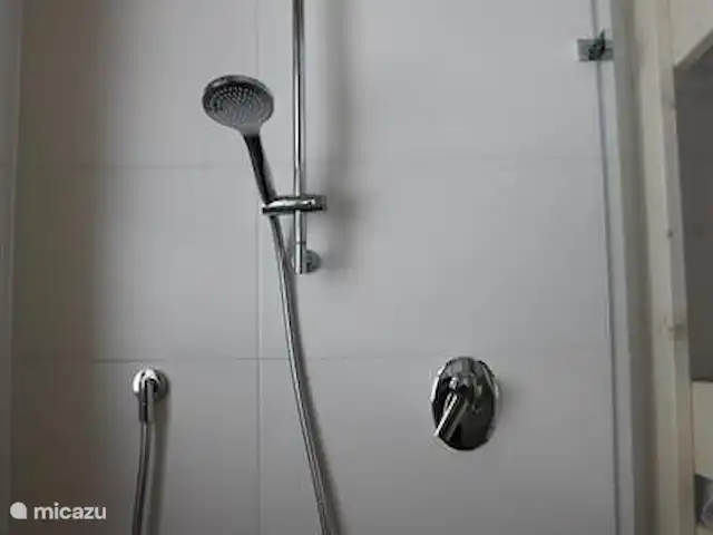 Penthouse JenSen SKI IN / SKI OUT huren in Oostenrijk, Salzburgerland, Mittersill - penthouse douche in de 2e badkamer