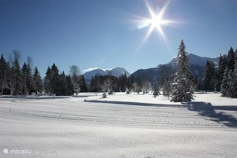 The practice area of ??the cross-country trails, next to the apartment.