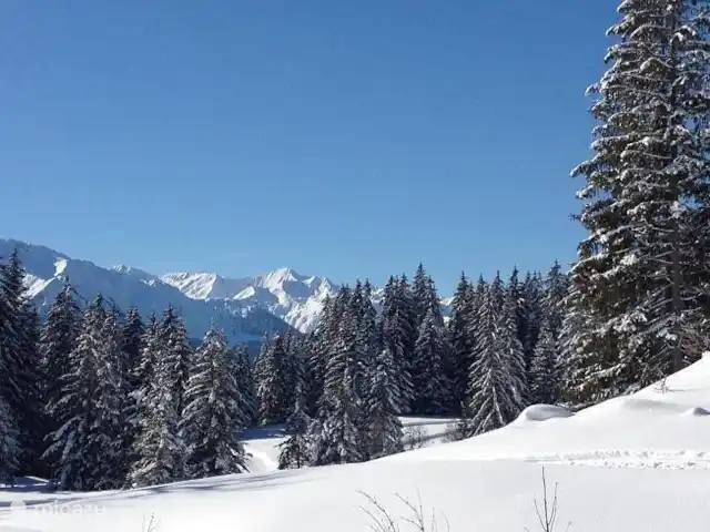 Penthouse JenSen SKI IN / SKI OUT huren in Oostenrijk, Salzburgerland, Mittersill - penthouse Wandelen in het bos naast het appartement bij de Hochmoor Loipe.
