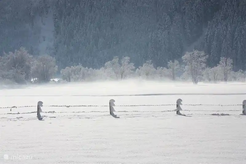 Walking in the beautiful Pinzgau Tal, situated at the foot of the adjacent gondola.