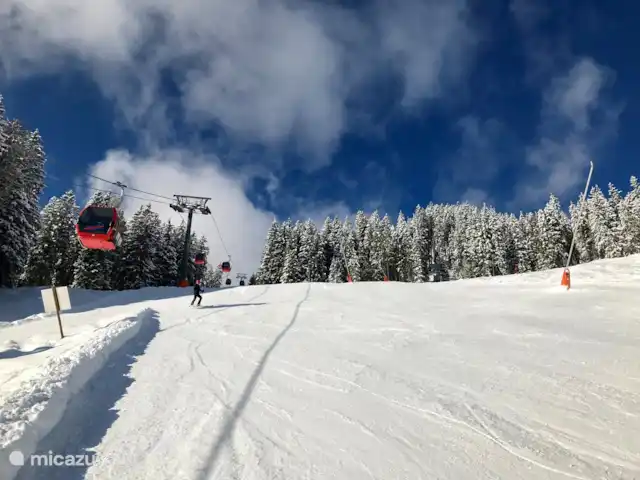 Penthouse JenSen SKI IN / SKI OUT huren in Oostenrijk, Salzburgerland, Mittersill - penthouse ski in-ski out