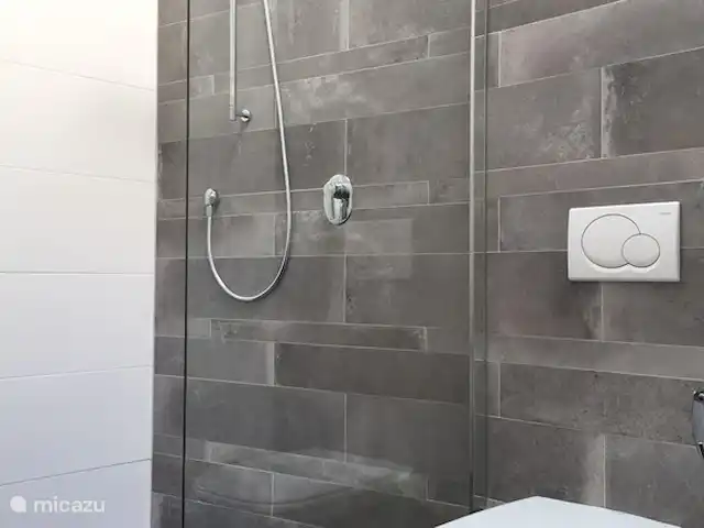 Penthouse JenSen SKI IN / SKI OUT huren in Oostenrijk, Salzburgerland, Mittersill - penthouse Inloopdouche in de 1e badkamer