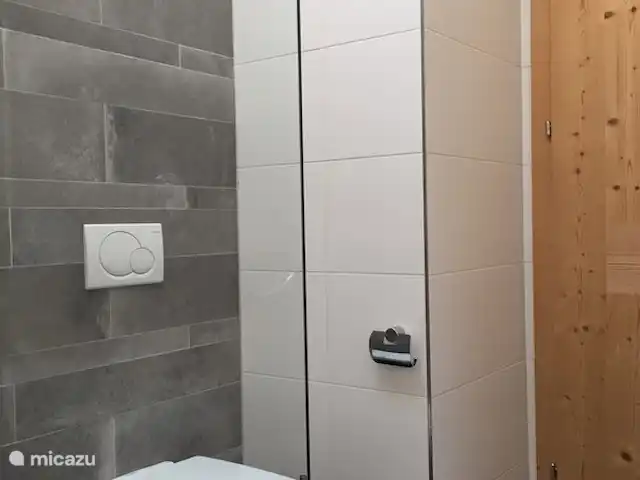 Penthouse JenSen SKI IN / SKI OUT huren in Oostenrijk, Salzburgerland, Mittersill - penthouse Toilet in 1e badkamer