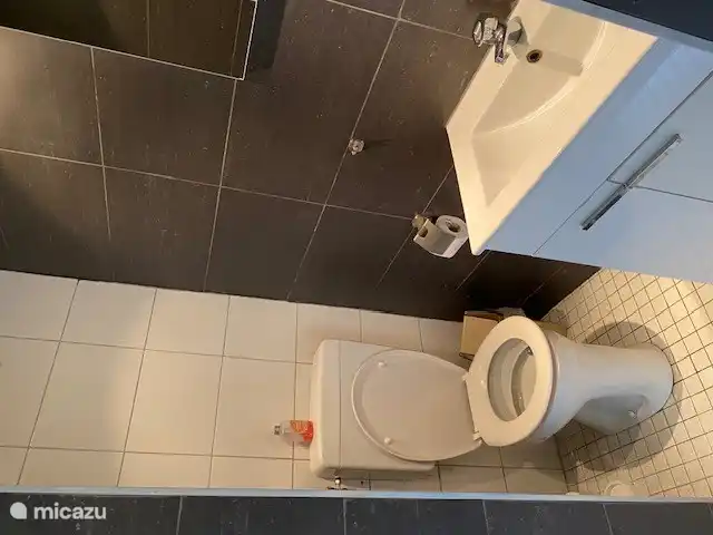 Badezimmer (Waschbecken und WC)