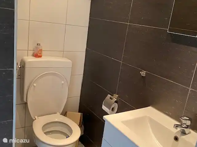 Oberón en Países Bajos, Limburgo, Herkenbosch - bungaló Cuarto de baño (lavabo e inodoro)