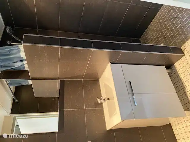 Badezimmer (Waschbecken und Dusche)