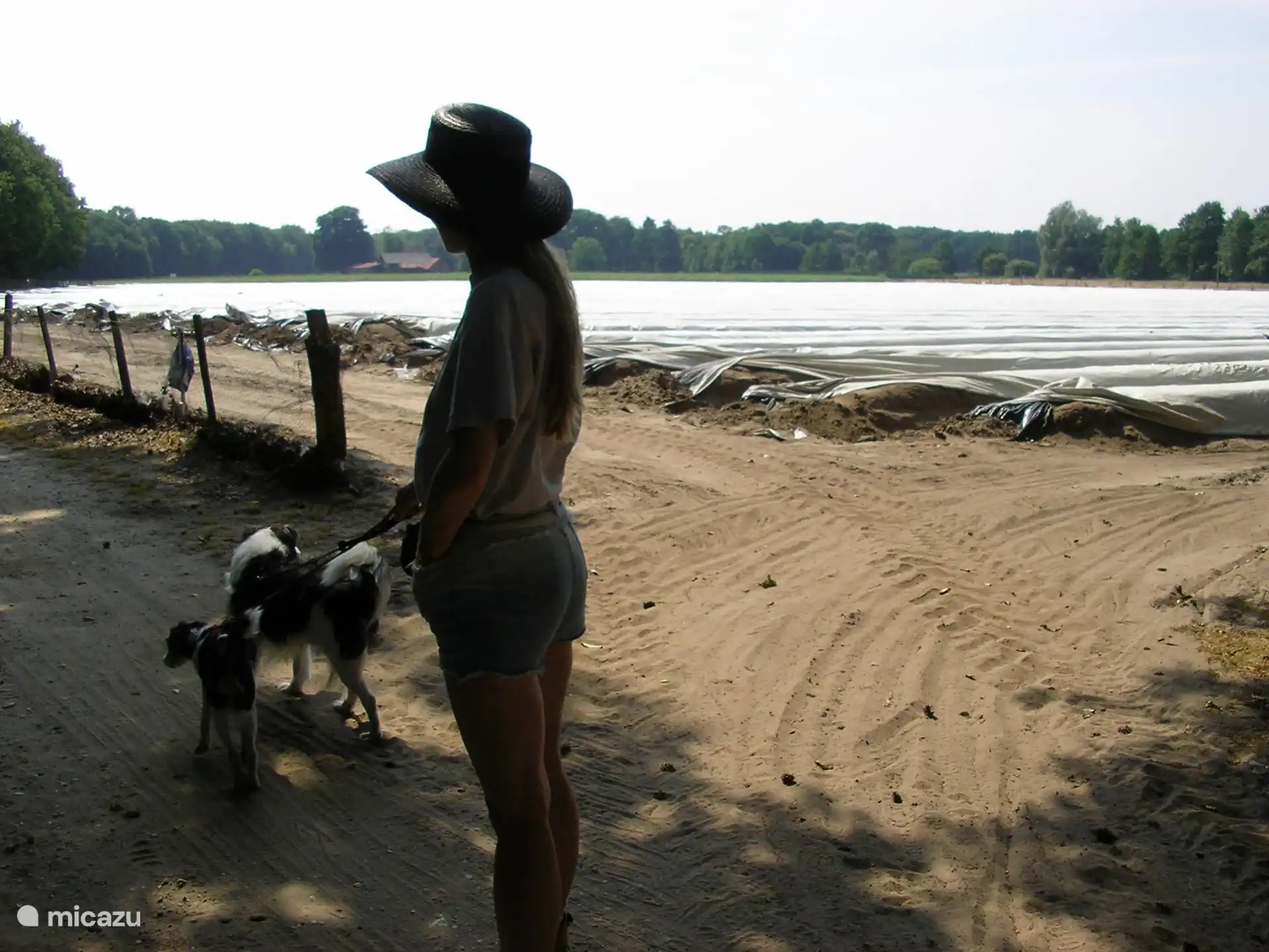 Nationalpark De Meinweg: Wanderung durch Wald, Heide und Spargelfelder.