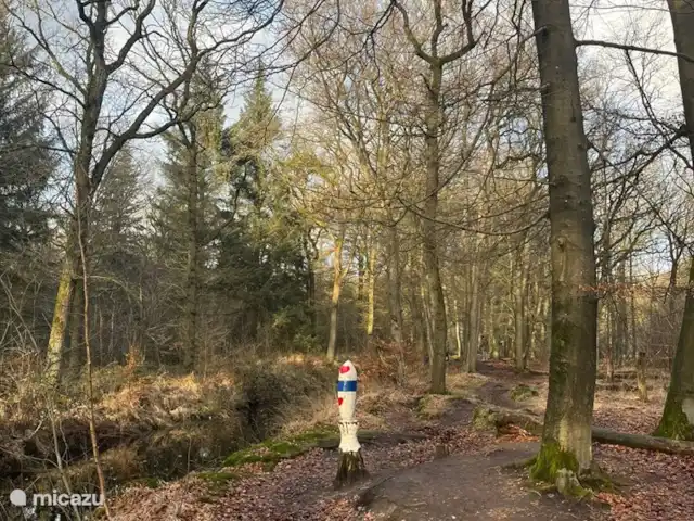 Maison de vacances Markant | Pays-Bas, Frise, Balk - maison de vacances Belle forêt à pied près de Rijs, où il fait bon séjourner avec de beaux troncs d'arbres sculptés avec des thèmes actuels. Aussi de bons restaurants dans la région comme l'hôtel Jans, où vous pourrez déguster une tarte aux pommes maison ou un délicieux déjeuner ou dîner culinaire.