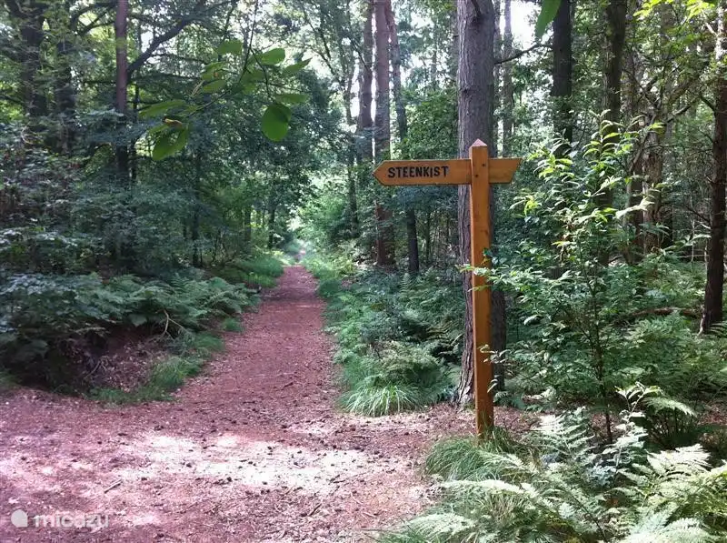 In de bossen staan bordjes die de weg wijzen naar mooie geschiedkundige plaatsen, onder andere van een steenkist!