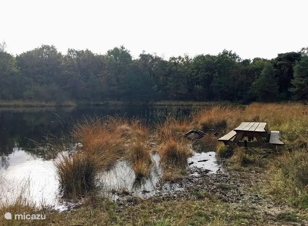 En dan opeens beland je bij zo'n feeëriek meertje in het bos!