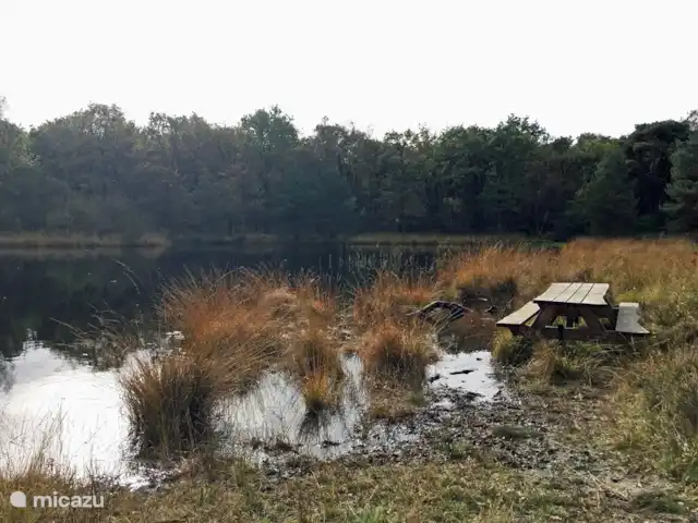 Maison de vacances Markant | Pays-Bas, Frise, Balk - maison de vacances Et puis tout à coup, vous vous retrouvez devant un lac si enchanteur dans la forêt !