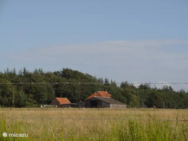 Maison de vacances Markant | Pays-Bas, Frise, Balk - maison de vacances Vue depuis le bateau sur les belles forêts du Gaasterland.