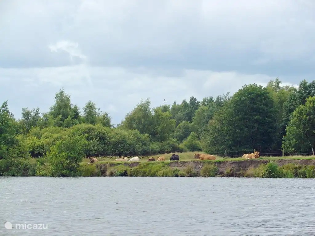 Genieten van de natuur kan volop in de buurt van bungalowpark Markant.