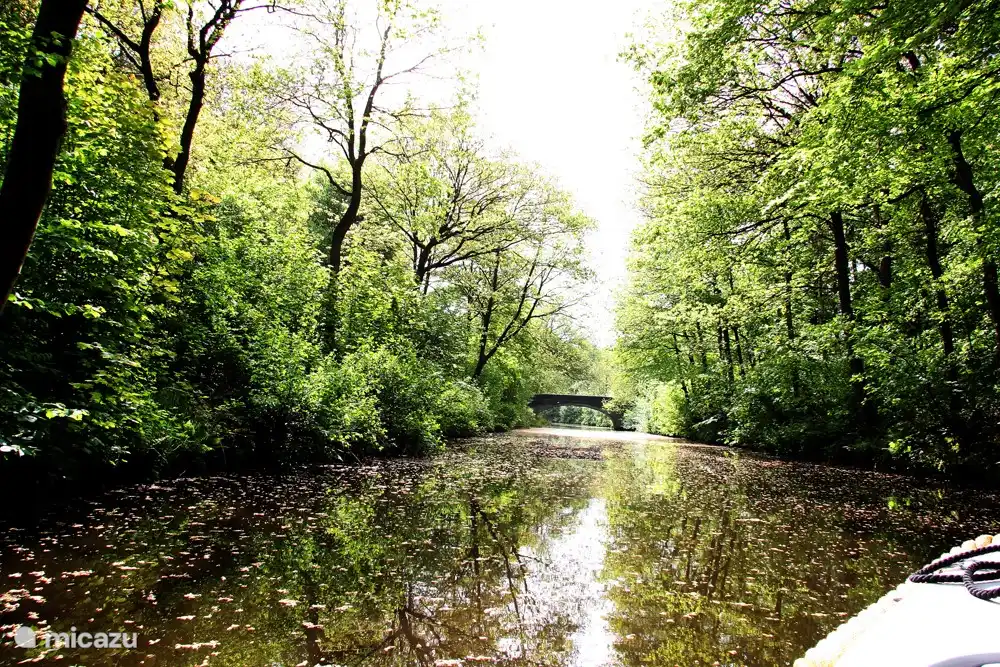 Op een kwartier varen van het park, geniet u al van de mooie Luts en de Gaasterlandse bossen.