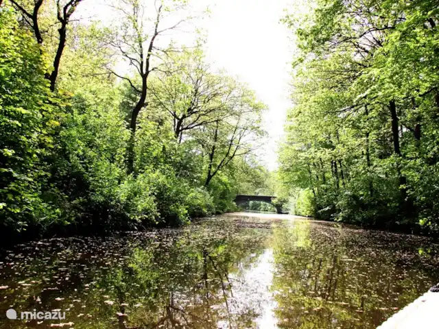 Maison de vacances Markant | Pays-Bas, Frise, Balk - maison de vacances A quinze minutes en bateau du parc, vous pourrez déjà profiter des belles forêts de Luts et du Gaasterland.