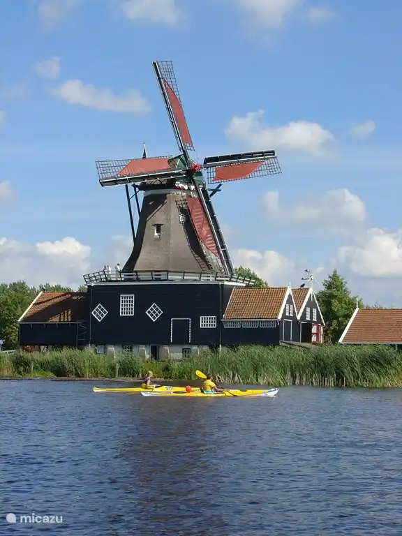 Ook de roeiers genieten van de prachtige molen, in de buurt van IJlst.