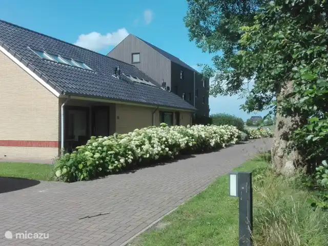 Lyts Sypenstien | Pays-Bas, Frise, Langweer - maison de vacances Ce complexe était composé de la laiterie et de la grange à foin