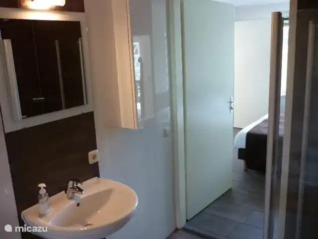 Lyts Sypenstien | Pays-Bas, Frise, Langweer - maison de vacances Salle de bain au rez-de-chaussée avec douche, baignoire et toilettes.