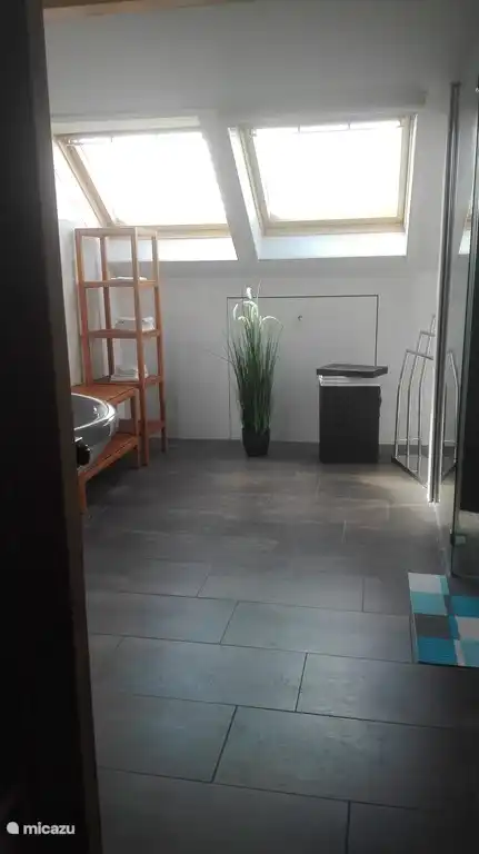 Komplettes sehr geräumiges Badezimmer; Sauna, begehbare Dusche, WC und Waschbecken