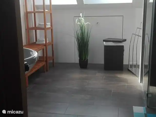 Lyts Sypenstien | Pays-Bas, Frise, Langweer - maison de vacances Salle de bain complète très spacieuse; sauna, douche à l'italienne, toilettes et lavabo