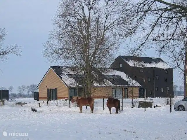 Lyts Sypenstien | Pays-Bas, Frise, Langweer - maison de vacances Vue d'hiver du Lyts Sypenstien