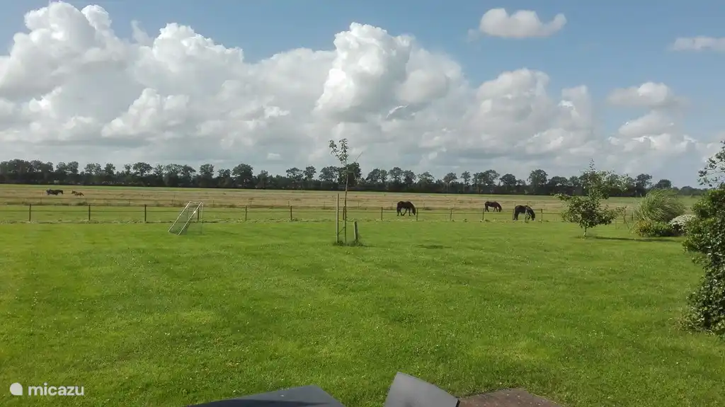 Der Blick von der hinteren Terrasse. Im Sommer weiden hier die Friesenpferde