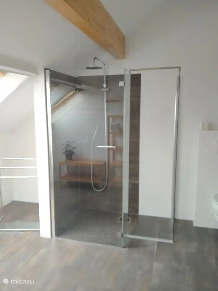 Kühlen Sie sich nach der Sauna in der begehbaren Dusche ab....