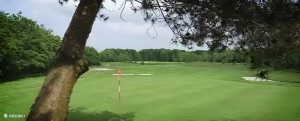 Auf 1,5 km finden Sie einen der schönsten Golfplätze in den Niederlanden. Wunderschön am Übergang vom Wald zur Weide gelegen.